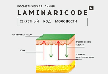 Откройте секрет молодости с альгинатными масками LAMINARICODE