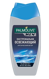 Palmolive MEN Гель для душа мужской Арктический ветер (Активный уход) 3в1, 250мл
